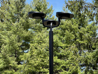 Senti solar all-in-one lighting a pathway through trees
